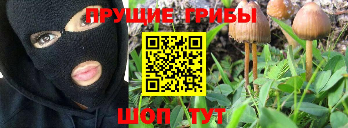 Псилоцибиновые грибы мухоморы Коломна